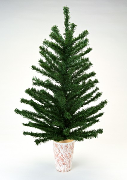 璀璨圣诞树图片