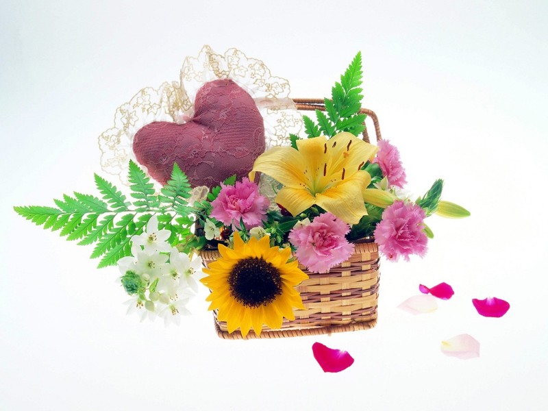 情人节图片大全