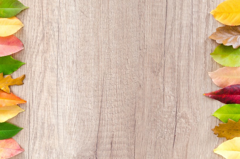 放着叶子的木板背景素材图片