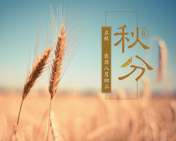 二十四节气之秋分设计素材图片