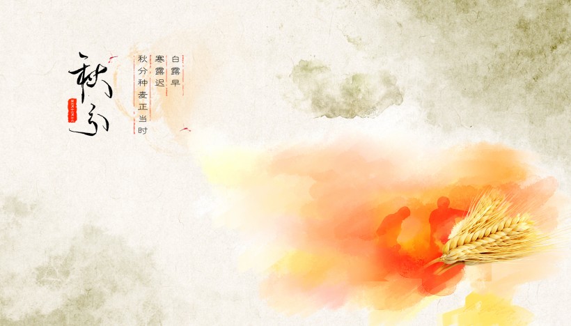 二十四节气之秋分设计素材图片
