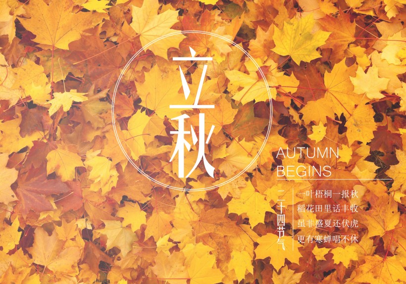 二十四节气之立秋设计素材图片大全