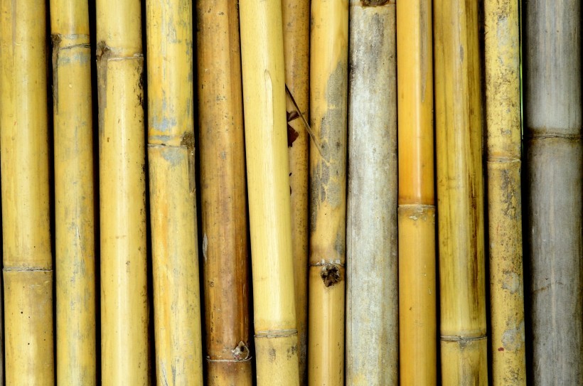 成排的竹子背景素材图片
