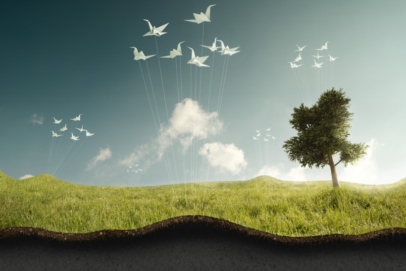 个性幻想树木素材图片