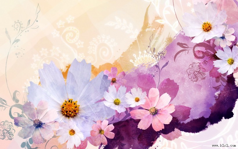 漂亮花朵信纸图片大全