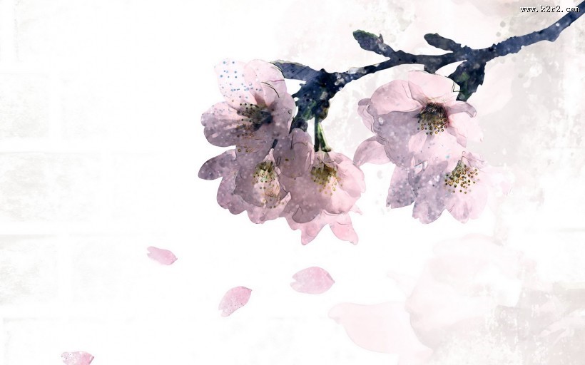 漂亮花朵信纸图片大全