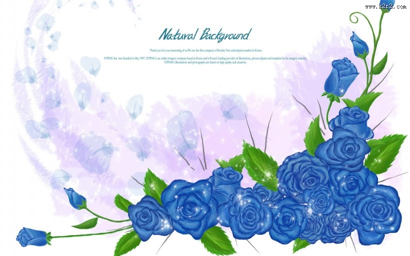 漂亮花朵信纸图片大全