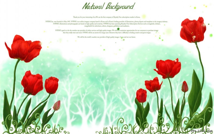 漂亮花朵信纸图片大全