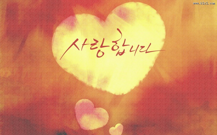 漂亮花朵信纸图片大全