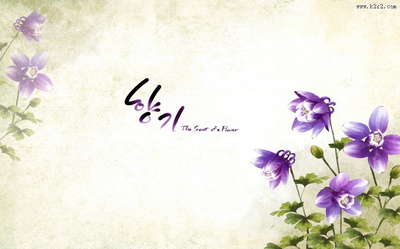 浪漫简约花朵信纸图片