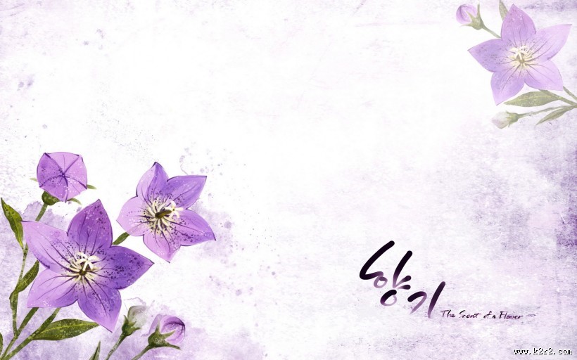 浪漫简约花朵信纸图片