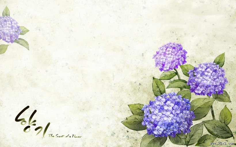 浪漫简约花朵信纸图片