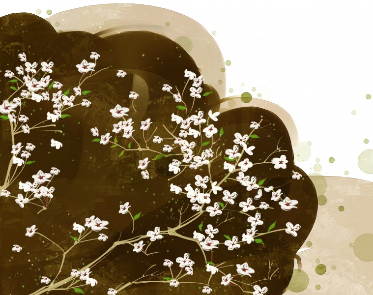 韩国唯美花朵背景图片