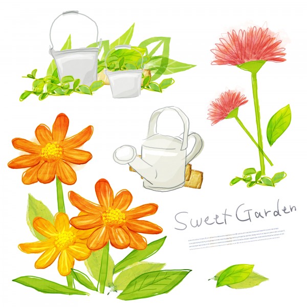 韩国手绘水彩花朵素材图片大全