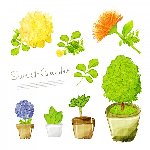 韩国手绘水彩花朵素材图片大全