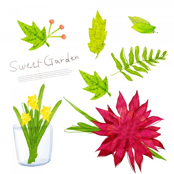 韩国手绘水彩花朵素材图片大全