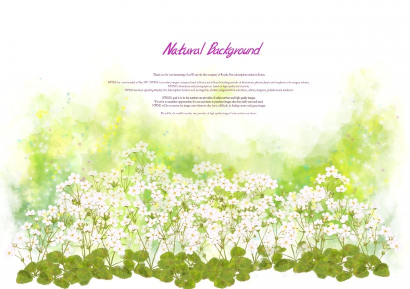 绿色韩国花朵背景图片