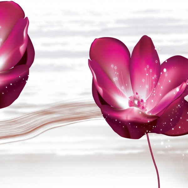粉色花朵三联画图片