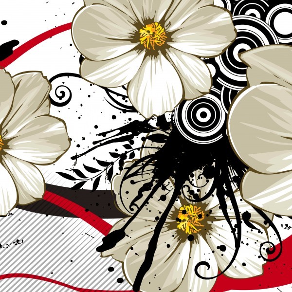 白色花朵三联画图片