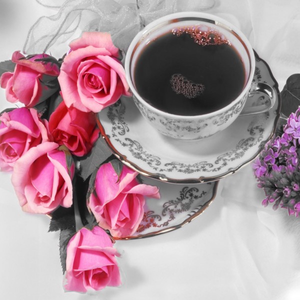 清爽风景三联画图片大全