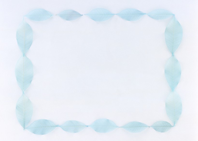 树叶、树枝绿色植物边框图片