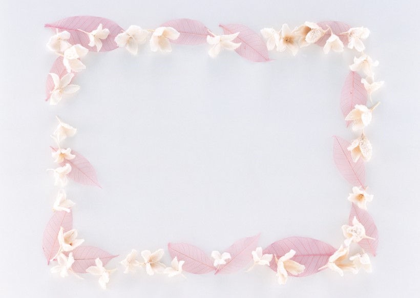 树叶、树枝绿色植物边框图片