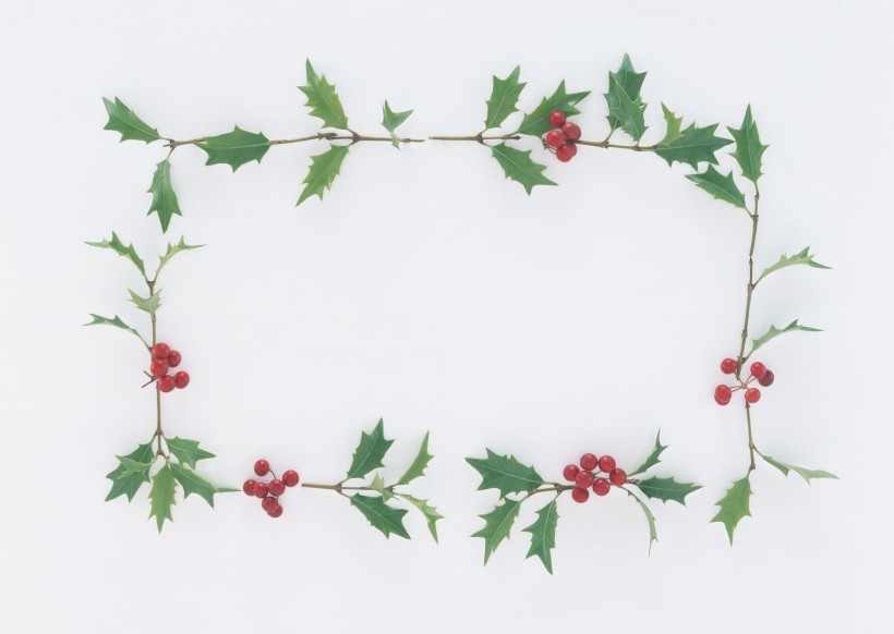 圣诞气息花草边框图片