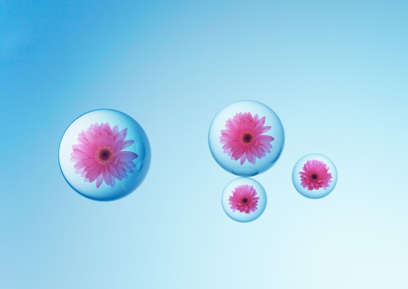 绿色、生命和水图片