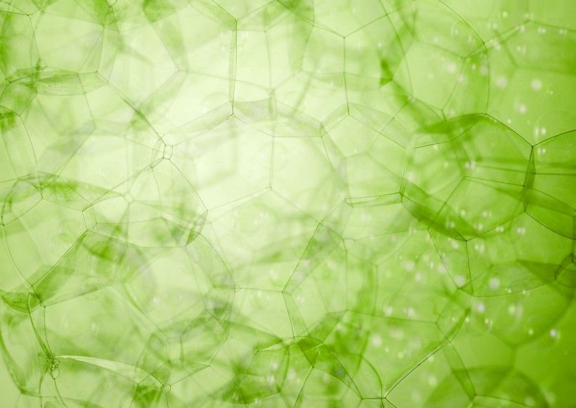 气泡和树叶图片