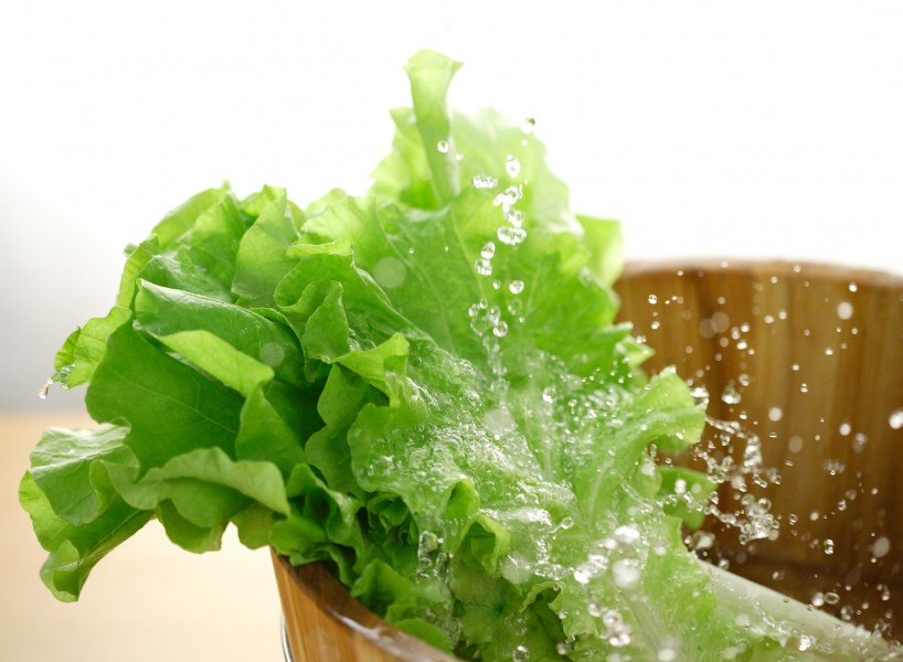 晶莹水珠图片大全