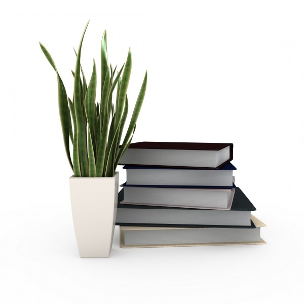 3D立体书本图片