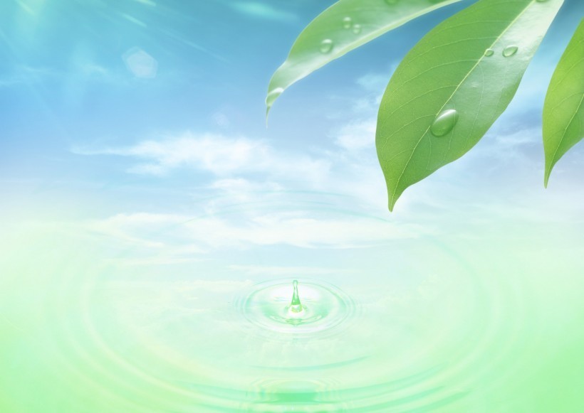 空气和水的绿意图片