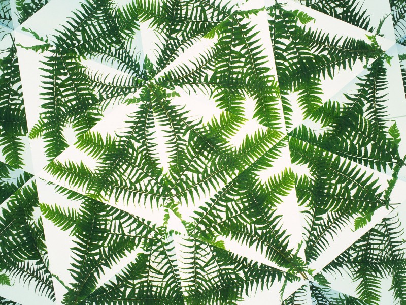 万花筒花卉底纹图片