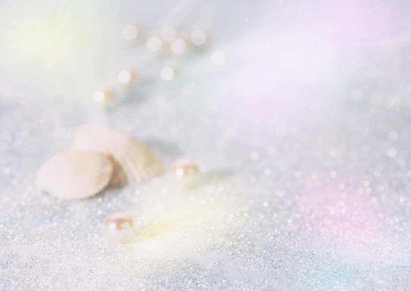 鲜花季节之夏图片