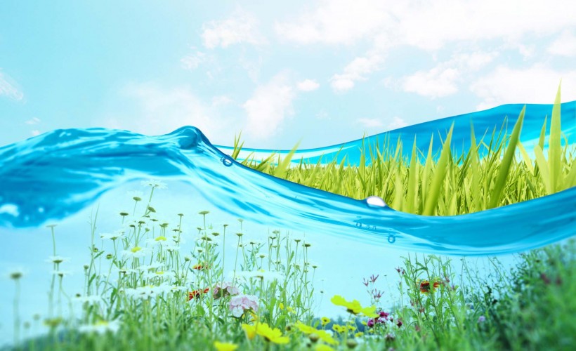 绿叶创意设计图片