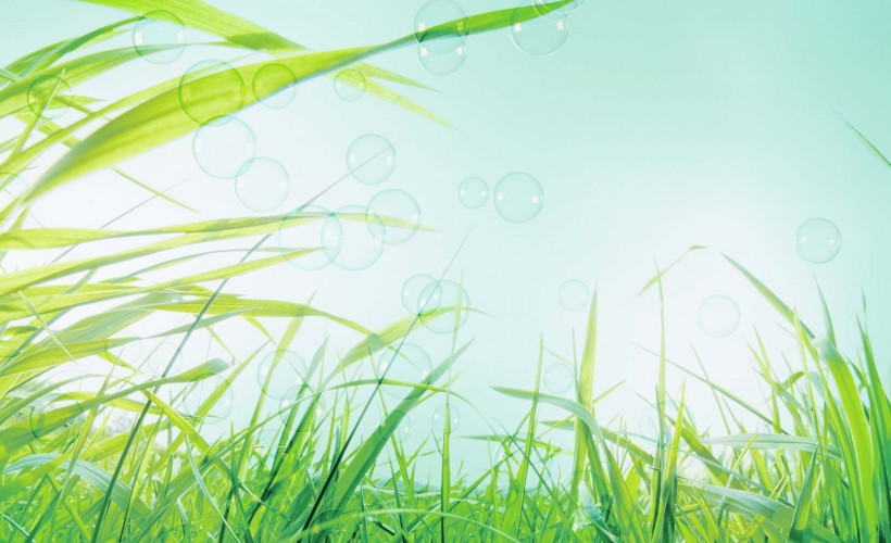 绿叶创意设计图片