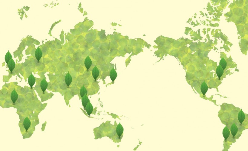 绿叶创意设计图片