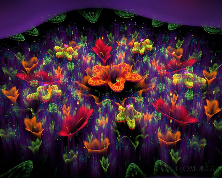 花型背景设计素材图片