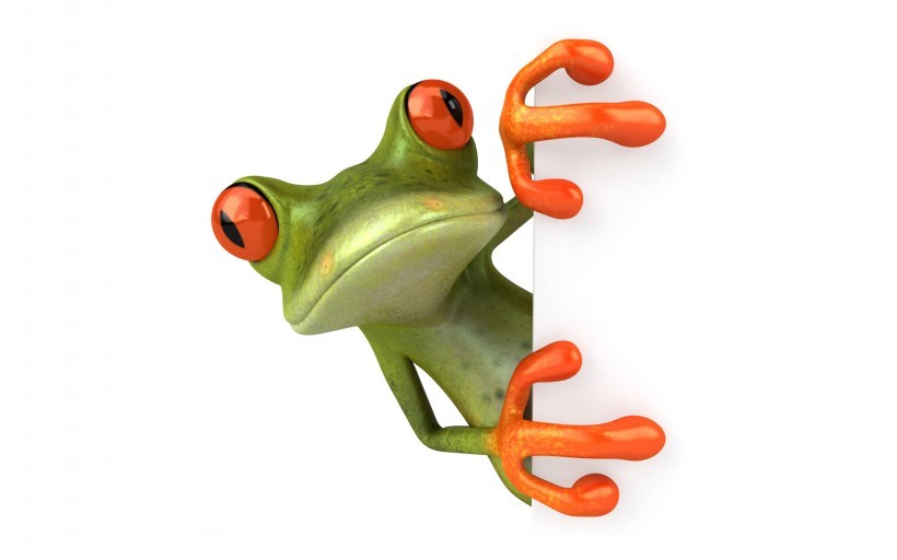 3D青蛙图片素材