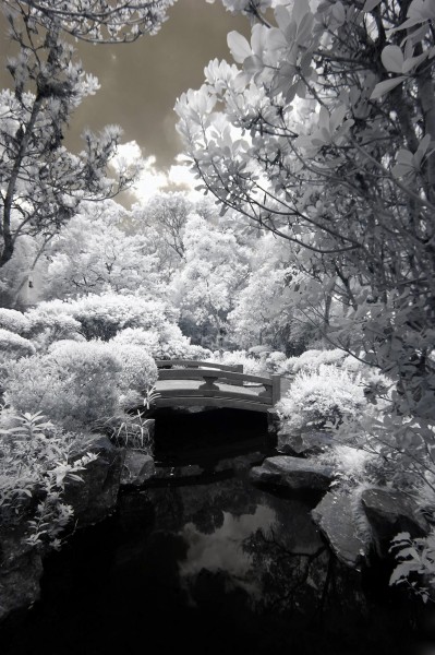 黑白风景摄影图片大全