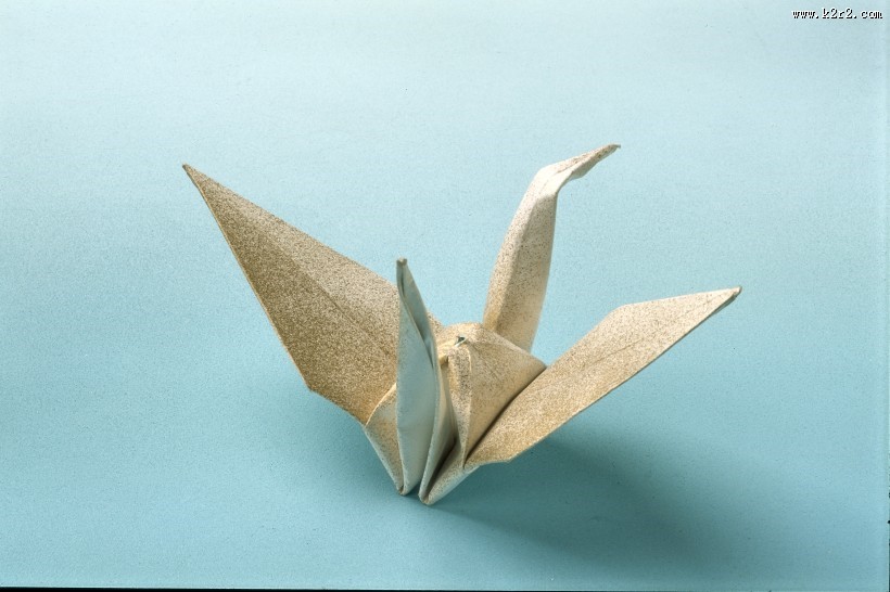 饱含祝福的千纸鹤图片