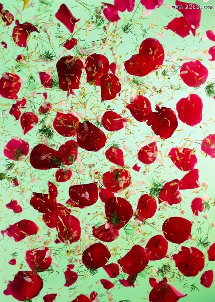 随性的艺术图片