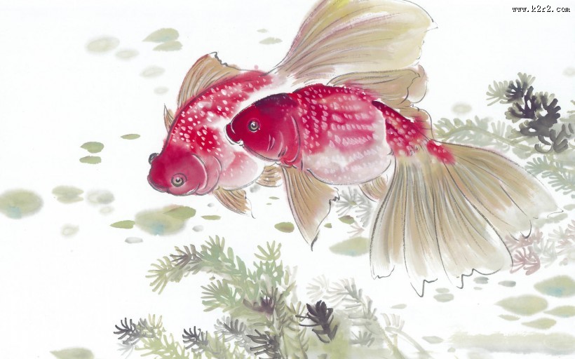 水墨画写意鲤鱼图片