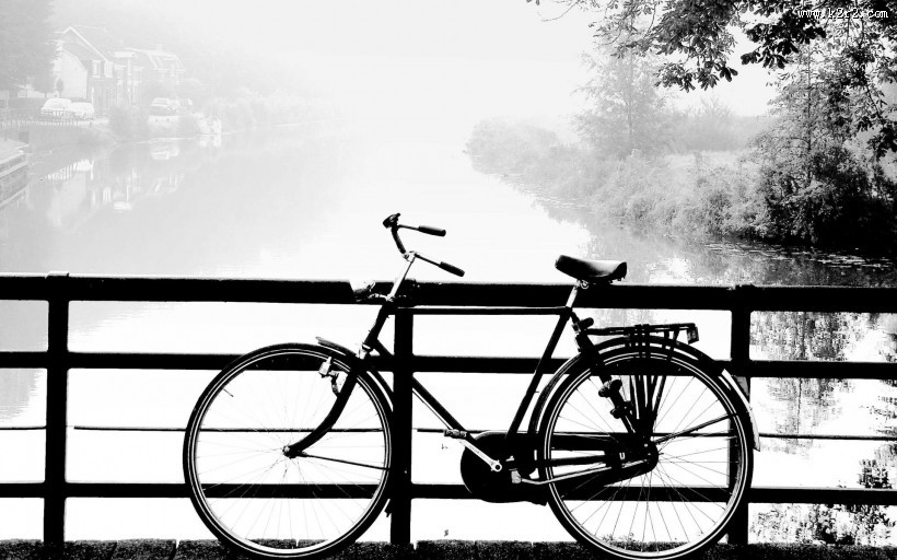 唯美单车静物图片大全