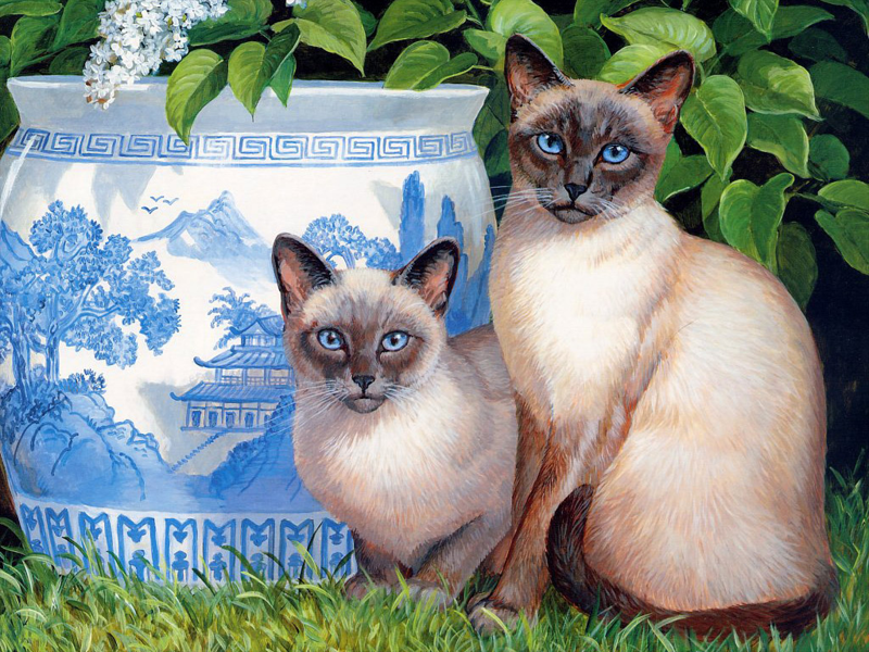 猫咪和它的小伙伴手绘图片