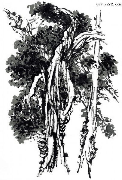 古树水墨画图片