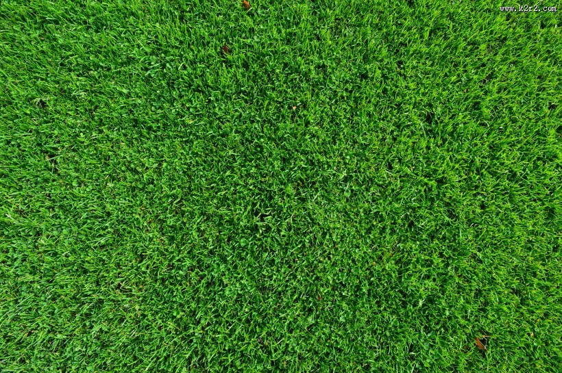 人工草坪图片