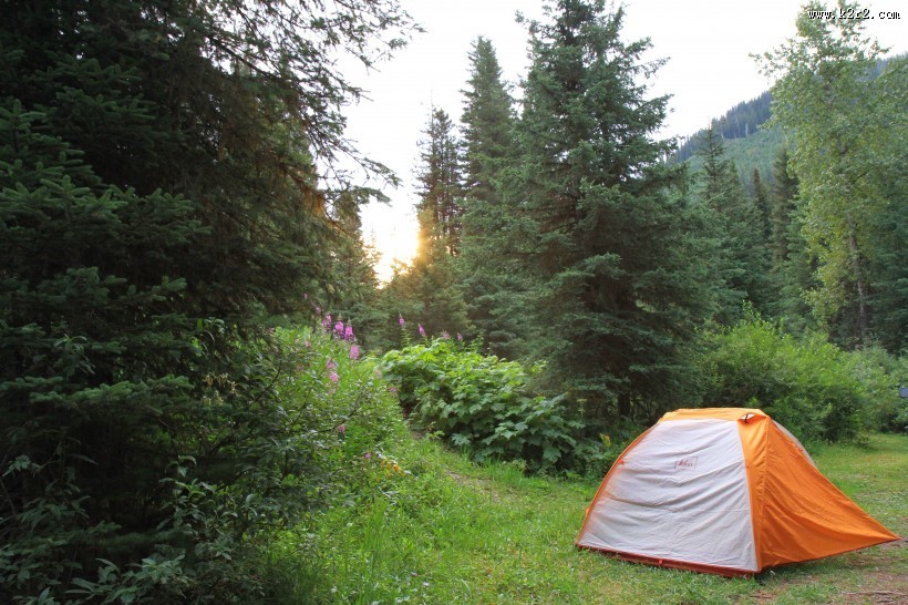 野外露营搭建的帐篷图片大全
