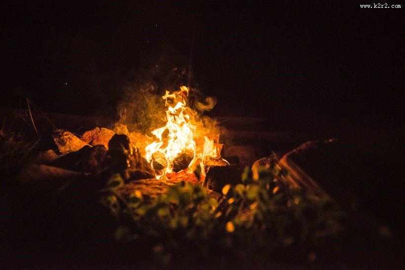 用木材烧的火堆图片