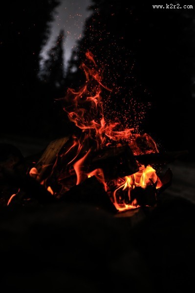 用木材烧的火堆图片